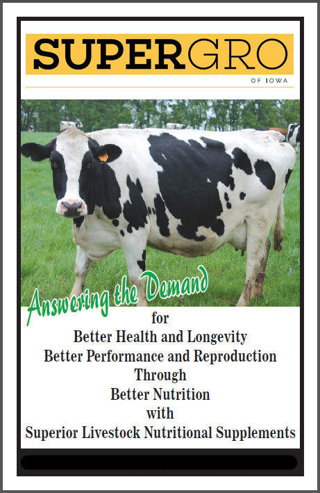 Super Gro General Dairy Supplements for Cows