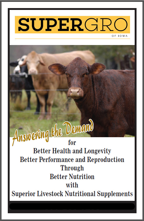 Super Gro General Beef Supplements for Cows